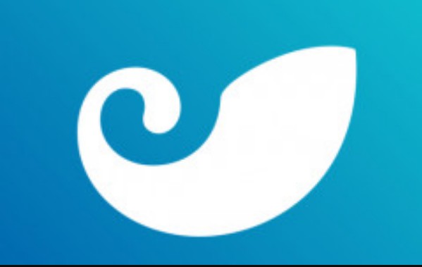 imToken钱包使用指南：下载安装、创建导入钱包及添加代币全流程
